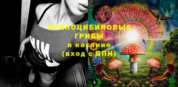 амф Каменногорск