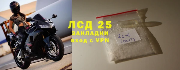 амф Каменногорск