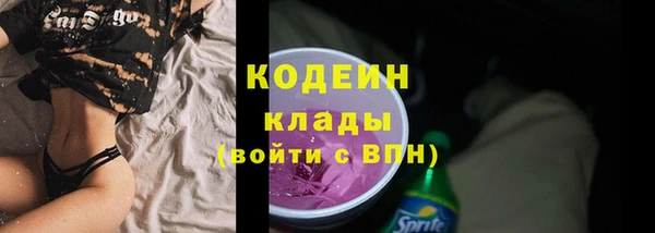 молекула духа Каменск-Шахтинский