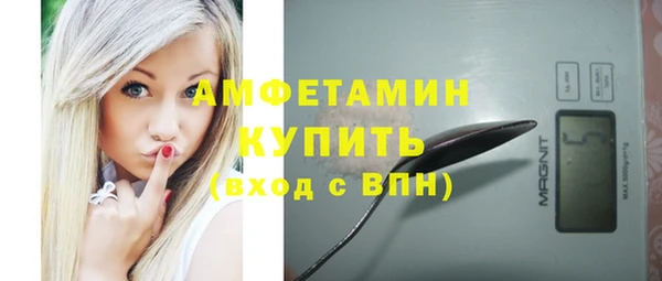 амф Каменногорск