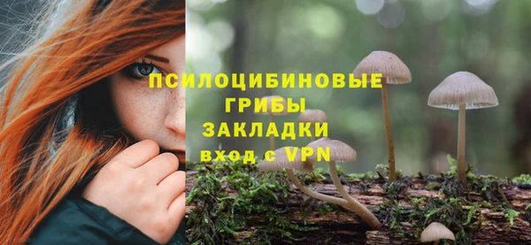молекула духа Каменск-Шахтинский