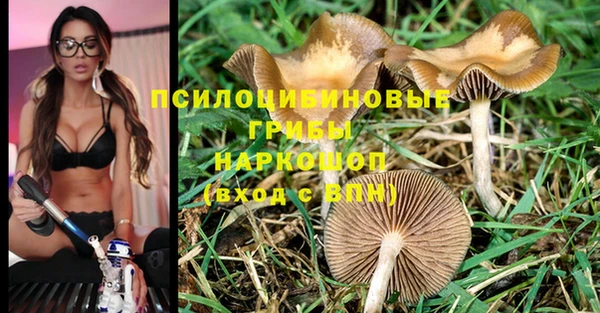 каннабис Каменка