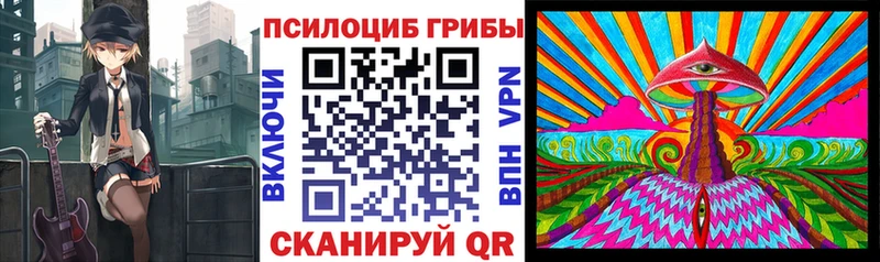 Купить где  Валуйки  Галлюциногенные грибы Psilocybine cubensis 